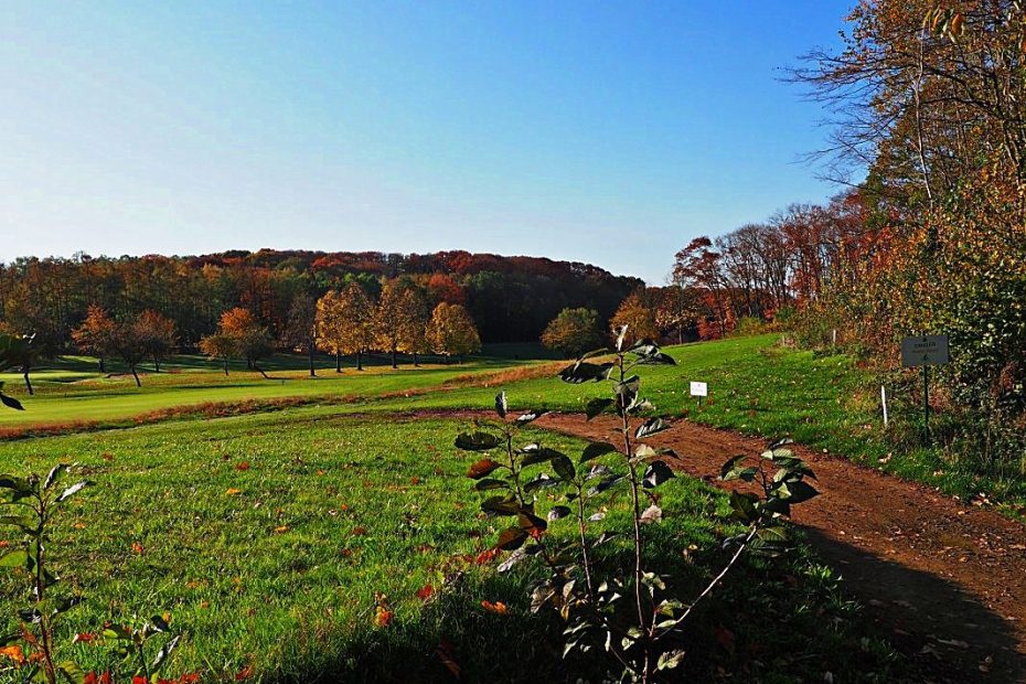 Roeselberg Chapel Walk