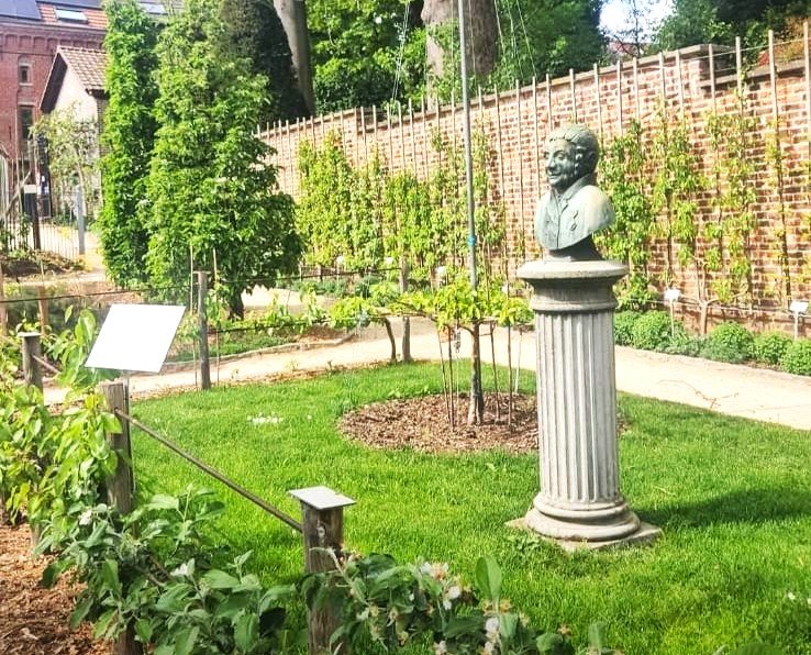 Jean-Baptiste Van Mons in Leuven Kruidtuin
