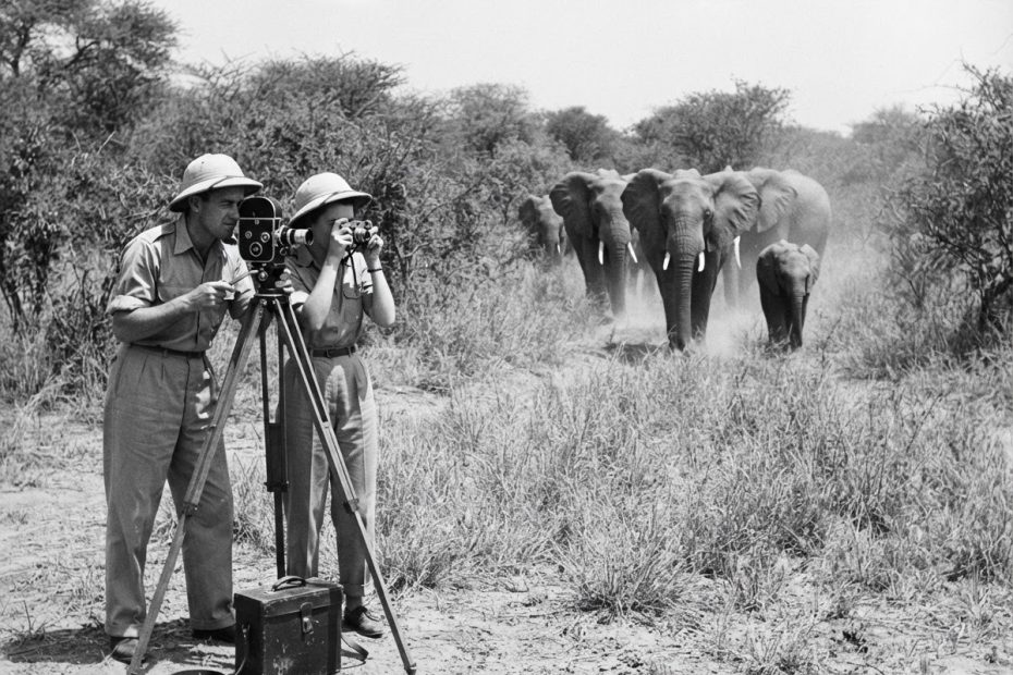 Armand and Michaela Denis in Africa
